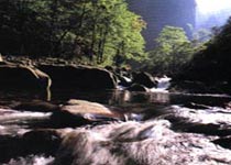 張家界國(guó)家森林公園天氣