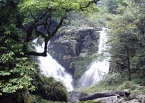 張家界八大公山自然保護(hù)區(qū)天氣