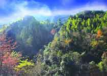 株洲云陽(yáng)國(guó)家森林公園天氣