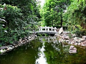 成都活水公園天氣