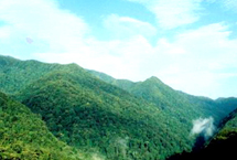 西安涇渭濕地自然保護區(qū)天氣
