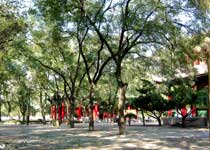 長(zhǎng)安革命公園天氣