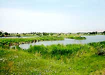合陽洽川風景名勝區天氣