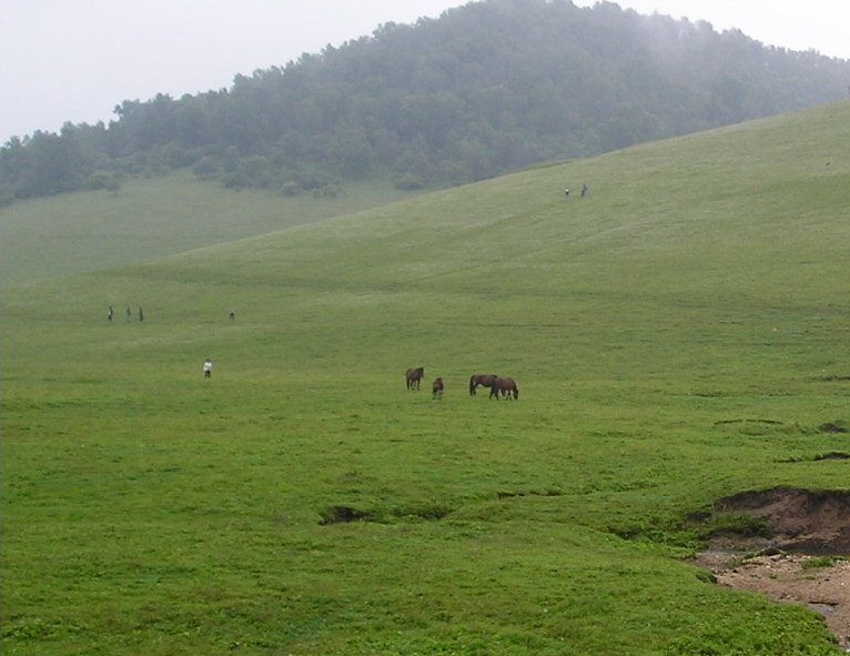 寶雞關(guān)山牧場-龍泉山莊天氣