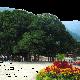 福州國(guó)家森林公園天氣