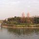 上海大寧?kù)`石公園天氣