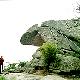信陽(yáng)雞公山天氣