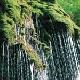 永濟王官峪風景區(qū)天氣