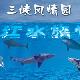 宜昌長(zhǎng)江水族世界天氣
