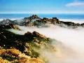 衡陽(yáng)市南岳衡山旅游區(qū)天氣