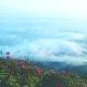 益陽(yáng)安化紅巖天氣